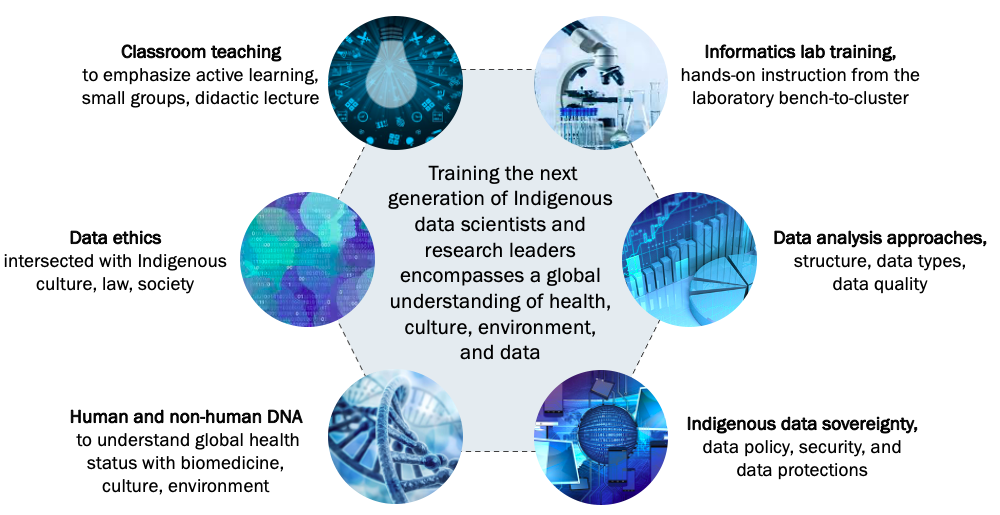 IndigiData Curriculum